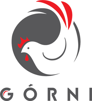 logo-3